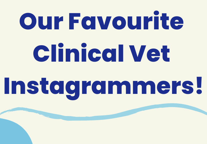 vet clinical favourite